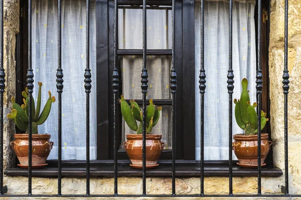 Old window with flower pot in Spain — Stock Photo, Image