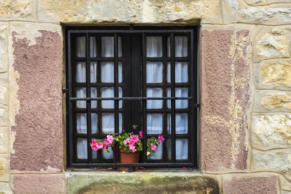 Stare okna z Doniczka w Hiszpanii — Zdjęcie stockowe