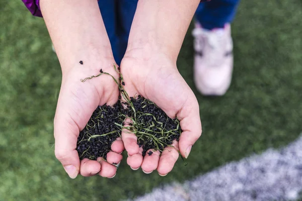 Soccer field made of pieces of synthetic rubber — Stock Photo, Image