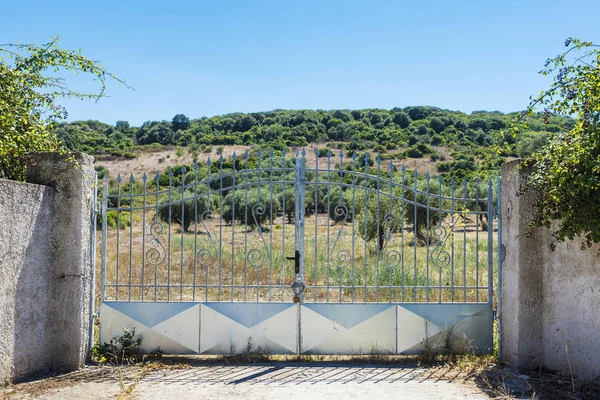 Entrada de una granja dedicada al cultivo de aceitunas en Italia — Foto de Stock