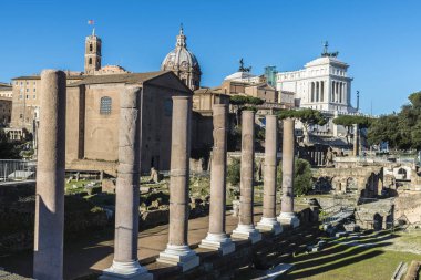 Roma kalıntıları Palatino Roma, İtalya