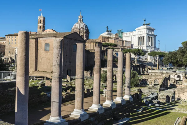 Roma kalıntıları Palatino Roma, İtalya
