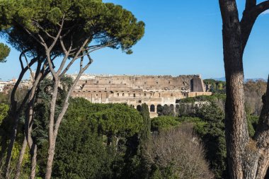 Kolezyum, Roma, İtalya