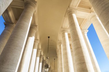 Vatikan Şehri, Vatikan Saint Peter's Square