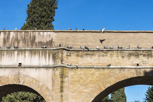 Pombas descansando em uma ponte velha em Roma, Itália — Fotografia de Stock