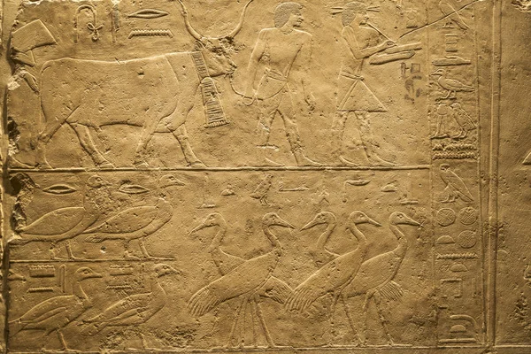 Museu Egípcio de Berlim na Alemanha — Fotografia de Stock