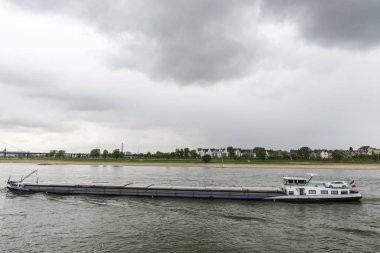 Almanya'da Ren nehrinde yelken kargo gemisi