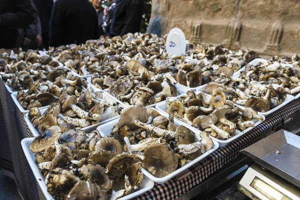 Marché aux puces de champignons de Cardona en Catalogne, Espagne — Photo