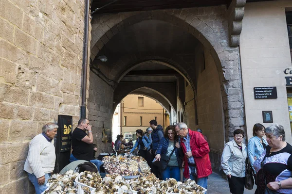 Houbová bleší trh Cardona, Katalánsko, Španělsko — Stock fotografie