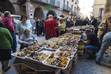 Mantar bit pazarı, Cardona, İspanya, İspanya