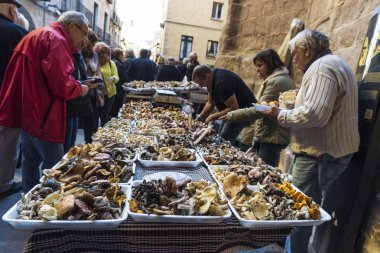 Mantar bit pazarı, Cardona, İspanya, İspanya