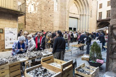 Mantar bit pazarı, Cardona, İspanya, İspanya