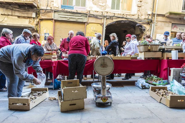 Marché aux puces de champignons de Cardona en Catalogne, Espagne — Photo