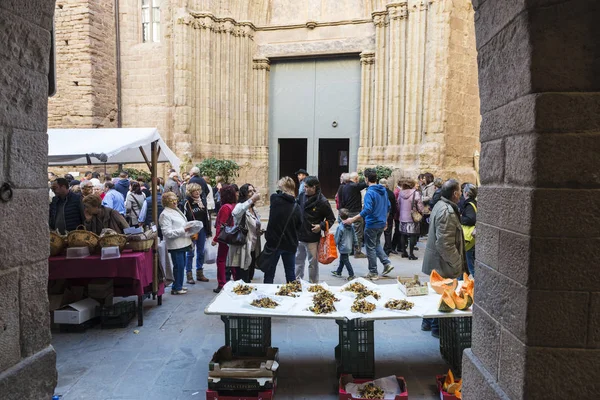 Grzyb pchli targ Cardona w Hiszpanii, w Katalonii. — Zdjęcie stockowe