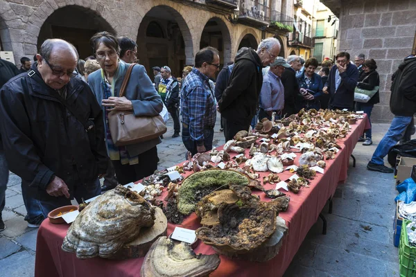 Houbová bleší trh Cardona, Katalánsko, Španělsko — Stock fotografie