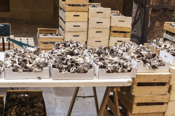 Mushroom flea market of Cardona in Catalonia, Spain — Stock Photo, Image