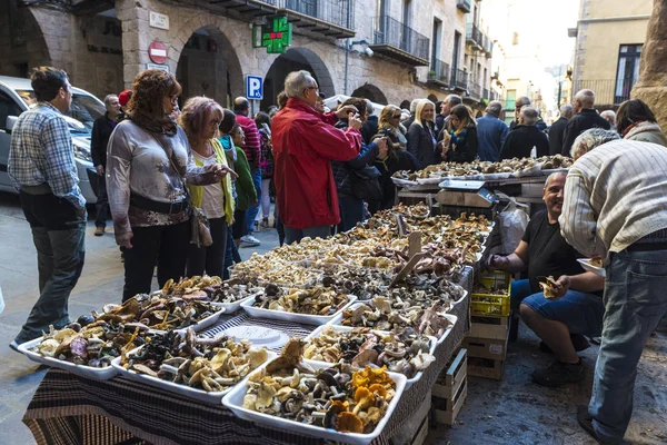 Mercado de pulgas de cogumelos da Cardona na Catalunha, Espanha — Fotografia de Stock