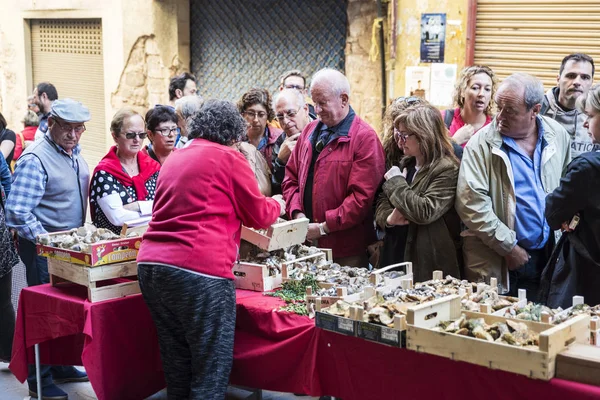 Mushroom flea market of Cardona in Catalonia, Spain — Stock Photo, Image