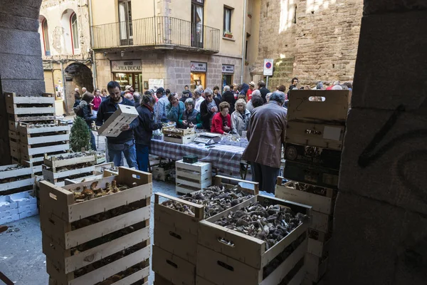 Mushroom flea market of Cardona in Catalonia, Spain — Stock Photo, Image