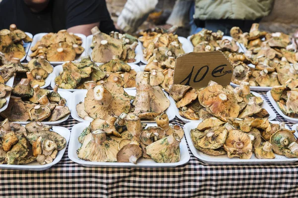 Mushroom flea market of Cardona in Catalonia, Spain — Stock Photo, Image
