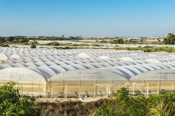 Greenhouses of vegetables in Sicily, Italy — Stock Photo, Image