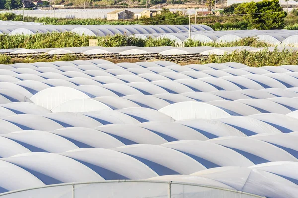 Greenhouses of vegetables in Sicily, Italy — Stock Photo, Image