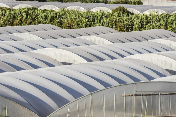 Greenhouses of vegetables in Sicily, Italy — Stock Photo, Image