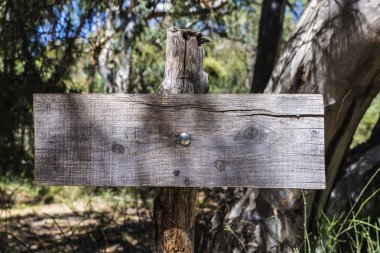 Bir ormandaki bir gövde ile yapılan eski ahşap işareti