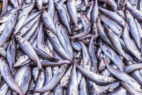 Heap of fresh fish as background — Stock Photo, Image