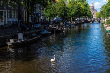 Amsterdam, Hollanda - 7 Eylül 2018: Arka planda Saint Nicholas Bazilikası (Van de Heilige Nicolaas veya Sint-Nicolaaskerk) ve Hollanda 'nın eski Amsterdam kentinde yüzen bir kuğu