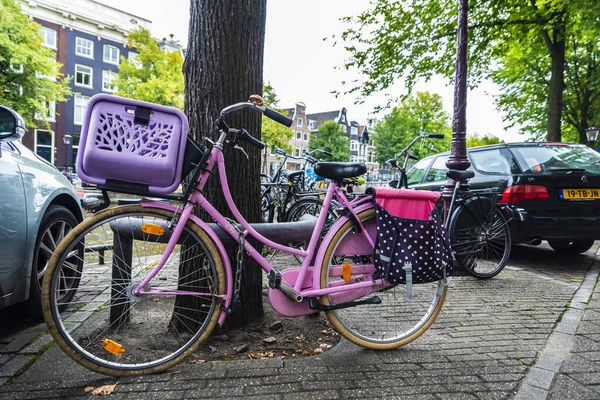 Amsterdam Netherlands September 2018 Old Pink Vintage Bicycle Parked Street — Stock Photo, Image