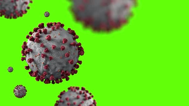 Virus Corona Con Schermo Verde — Video Stock