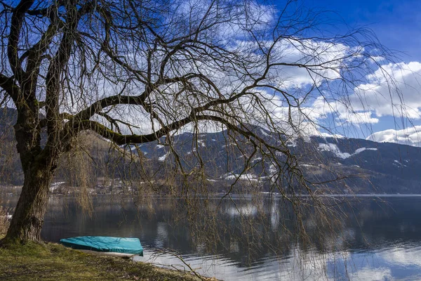 Kış günü, çıplak bir ağaç parlak bulutlarla çekimleri kaplar. Göldeki yansımalar.
