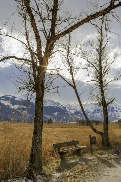 Kış sahnesi, çıplak ağaçlarla, kahverengi bir tarlanın arkasındaki çöp tenekesi ve karla kaplı dağlar arasında tek bir ahşap bank. Alçak gri bulutlar ve ağaç dalının köşesinde bir güneş patlaması