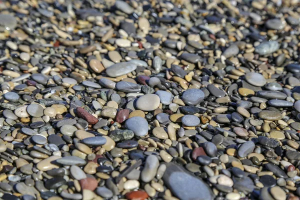 Primo Piano Ciottoli Multicolori Una Spiaggia Incentrato Sulla Pietra Piana — Foto Stock