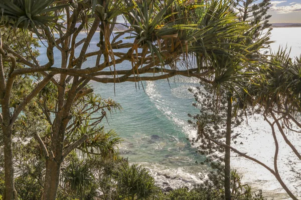 Looking through plants and trees to the ocean surf below with bright sun on ocean waves