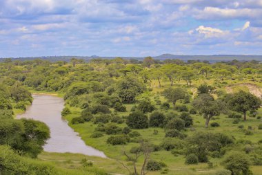 Soldaki küçük bir nehre bakıyor ve yemyeşil ağaçlar ve çimenler her yerde, bulutlarla dolu mavi gökyüzü olan uzak bir dağ.