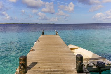 Eski hamak büyük ağaçta asılı, etrafta insan yok.