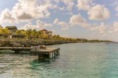 Eski hamak büyük ağaçta asılı, etrafta insan yok.