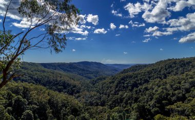 Parlak güneşli bir gün, yeşil dağların üzerindeki küçük bulutlar yemyeşil ağaçlarla kaplı.