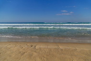 Küçük mavi dalgaları olan boş kumlu sahil. Gökyüzünde küçük bir kuş sürüsü.