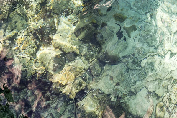 Eski hamak büyük ağaçta asılı, etrafta insan yok.