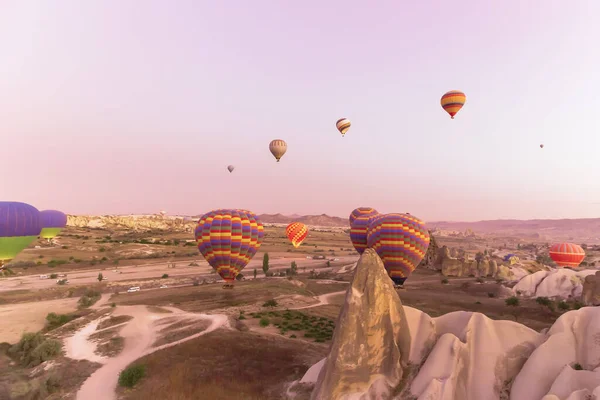 Pembe gündoğumu Cappodica 'da, çok renkli sıcak hava balonları vadilerden açık gökyüzüne doğru yükseliyor.