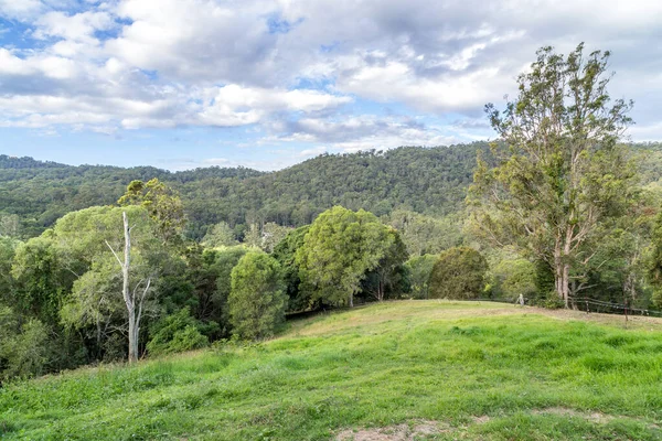 Yeşil Orman Tepesi 'nin arka tarafındaki çitli otlak.