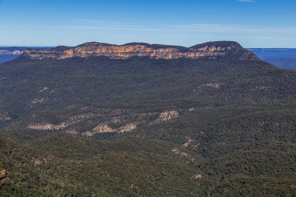 Mavi dağlardaki uçsuz bucaksız ağaçlara bakıyorum.