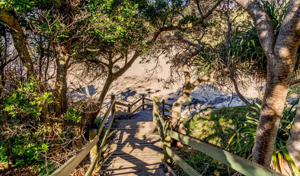 Escaliers Bois Avec Lumière Soleil Filtrée Mènent Une Passerelle Sablonneuse — Photo