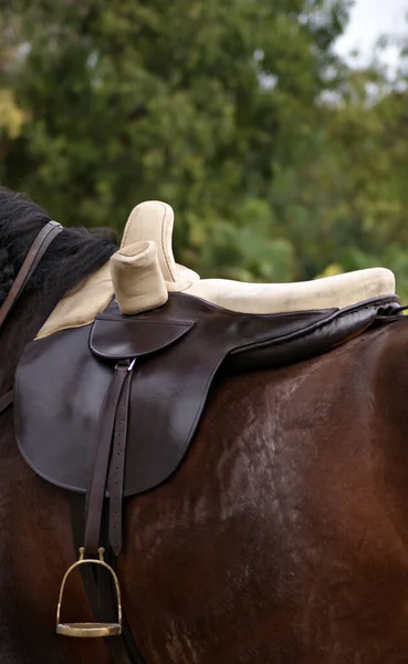 Equitazione Laterale Una Forma Equestrismo Che Utilizza Tipo Sella Che — Foto Stock