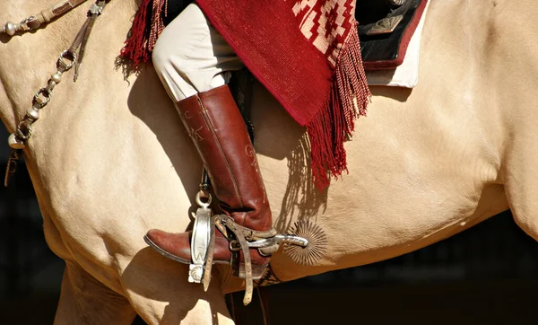 日光の下でバックスキンクリオーロ馬の毛皮とは対照的に伝統的なアルゼンチンの拍車 — ストック写真