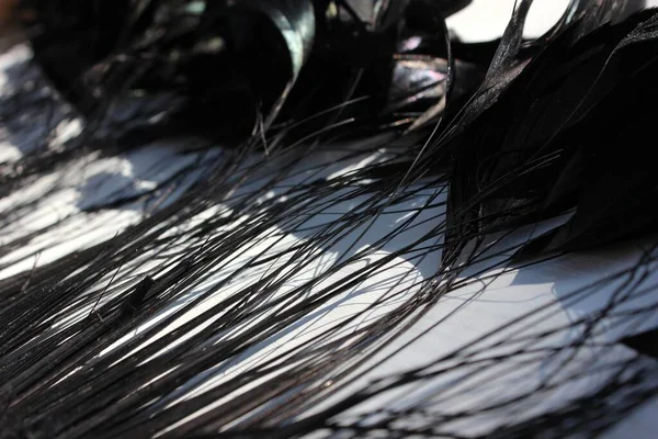 Beyaz Arkaplandaki Siyah Tüylerin Çerçevesi Beyaz Üzerine Izole Edilmiş Boa — Stok fotoğraf