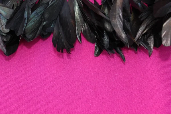 Frame of black feathers on a Pink background. Emo style frame made of boa (feather scarf) isolated on purple. exotic soft beautiful black feather. Feathers laid out around. A fan in dark colors.